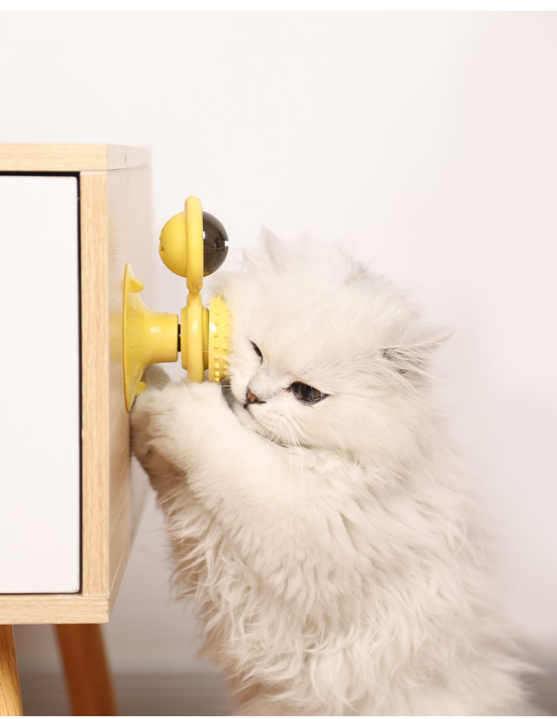 Auskie Interactive Cat Fidget Toy - Image 5