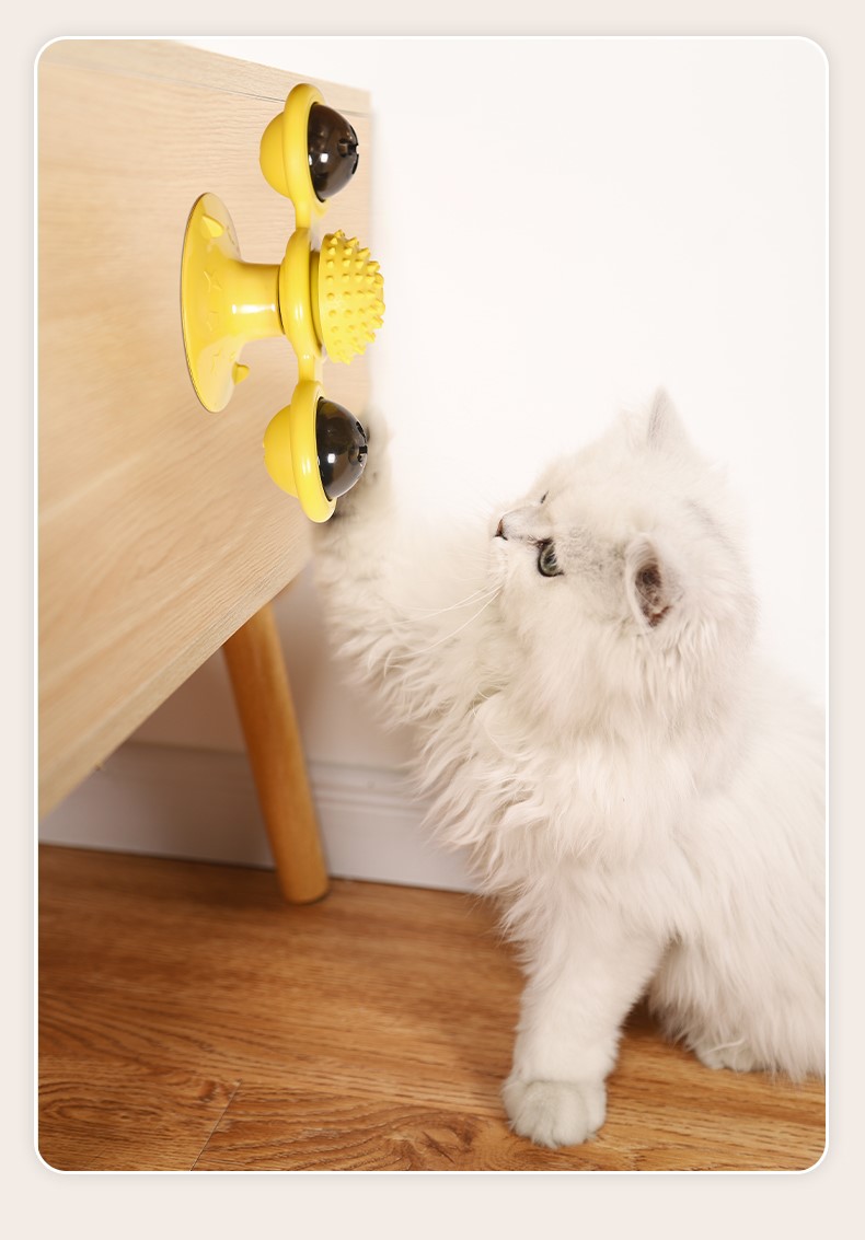 Auskie Interactive Cat Fidget Toy - Image 4