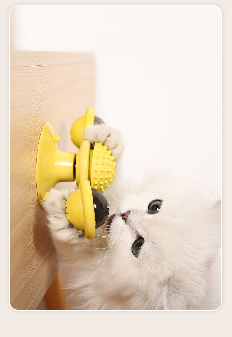 Auskie Interactive Cat Fidget Toy - Image 6