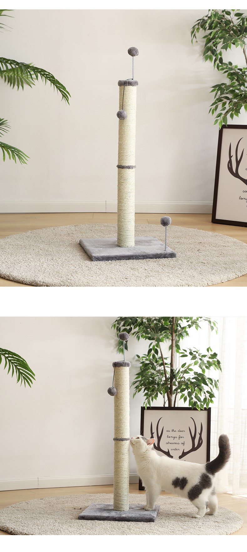 Auskie 90 Cat Scratch Pole - Image 2