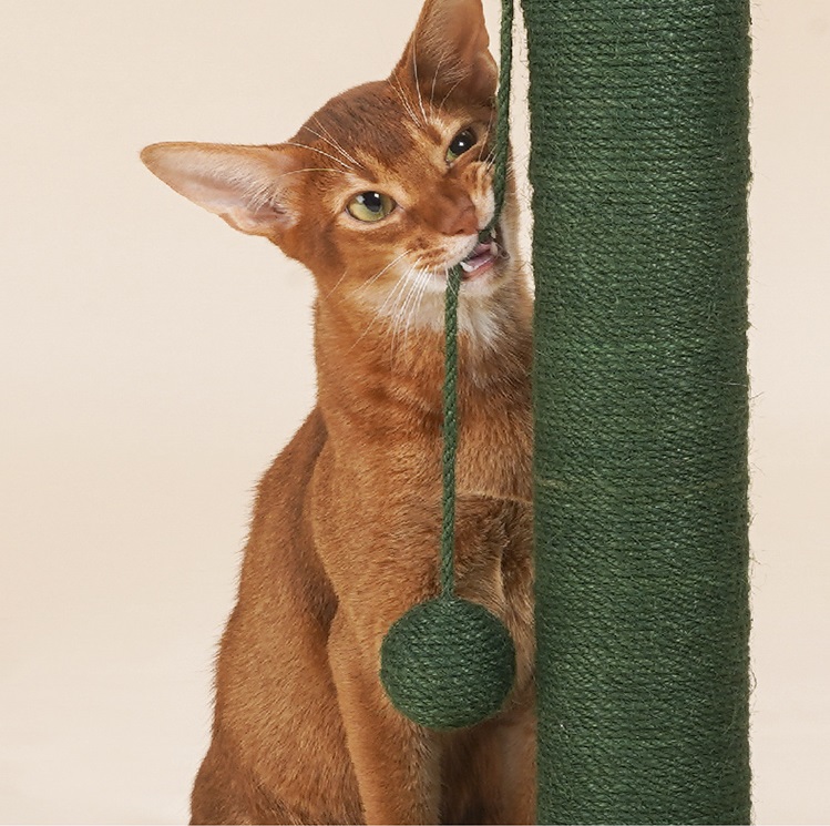 Auskie Cactus Scratch Post - Image 5