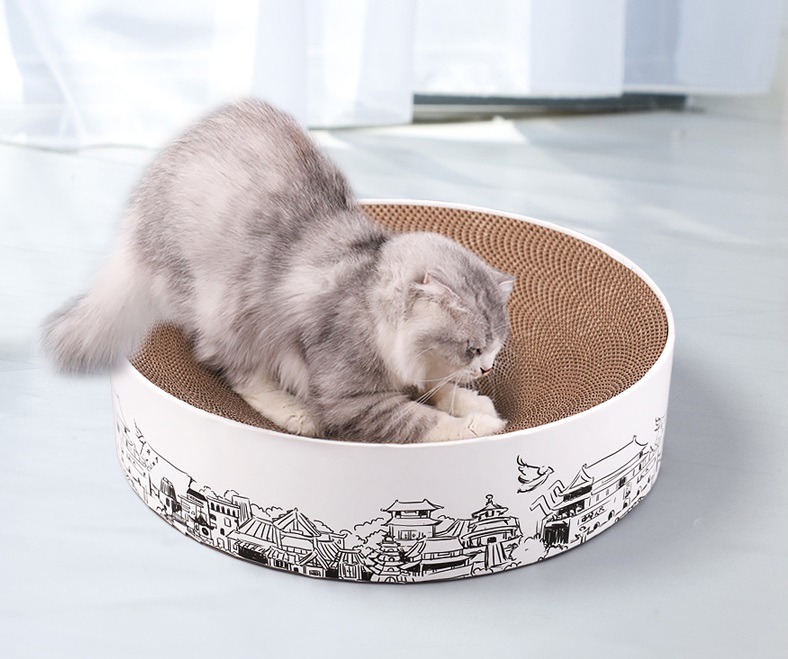 Auskie Cat Sketch Art Scratch Bowl- Ancient City - Image 3