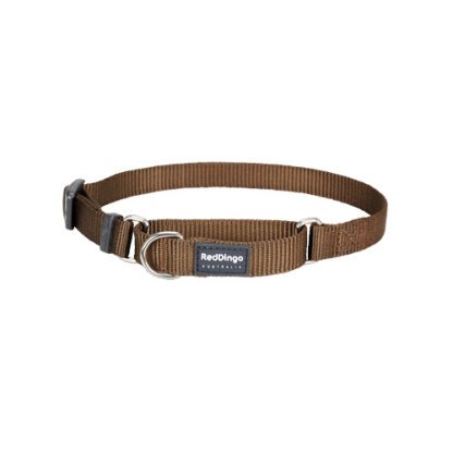 Red Dingo Martingale Half Check Collar - Classis Brown