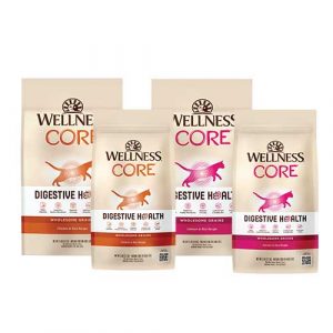 Wellness CORE Digestive Health with Wholesome Grains Recipe Dry Food for Cats