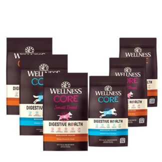 Wellness CORE Digestive Health Recipe Dry Food for Dog