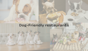 Dog-Friendly restaurants in Singapore