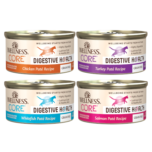 Wellness Core Digestive Health Pate Wet Canned Cat Food 3oz (4 Flavors)