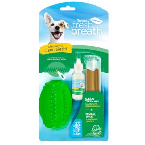 Tropiclean Fresh N’ Fun Dental Chew Toy