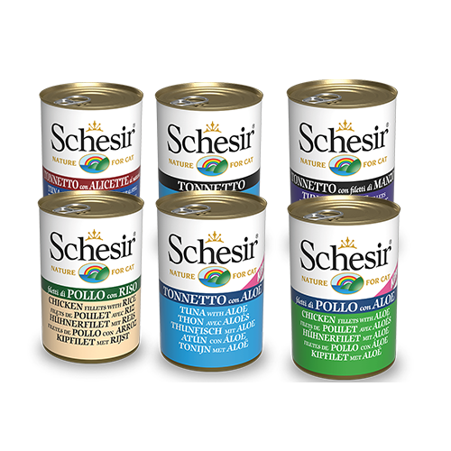 [1 Carton] Schesir Cat Canned Food in Jelly 140g