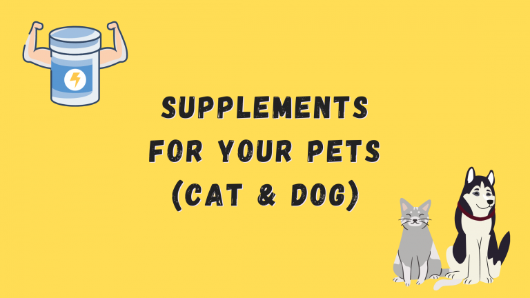 Do pets need supplements?
