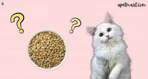 Is a Grain-Free Diet Good for Your Cat?