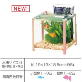 GEX qb Cube Big Pink Tank