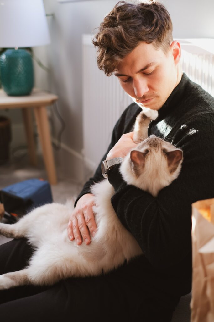man playing with cat