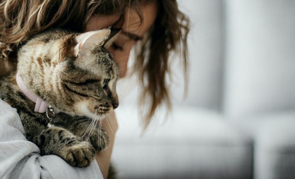 woman holding cat