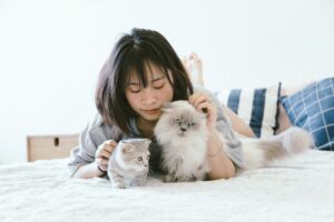 The Psychological Benefits of Having a Cat