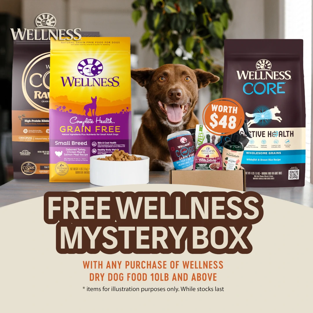 Wellness Mystery Box Promotion Picture