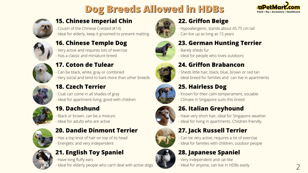 aPetMart HDB Dog Breeds Infographic 2/5 by Osman Samsuri