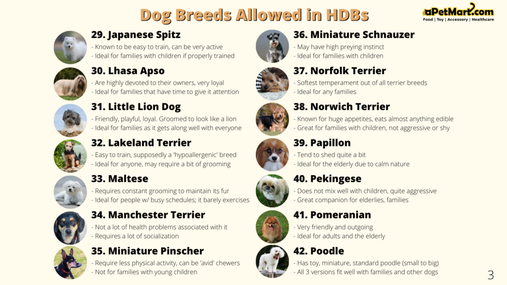 aPetMart HDB Dog Breeds Infographic 3/5 by Osman Samsuri