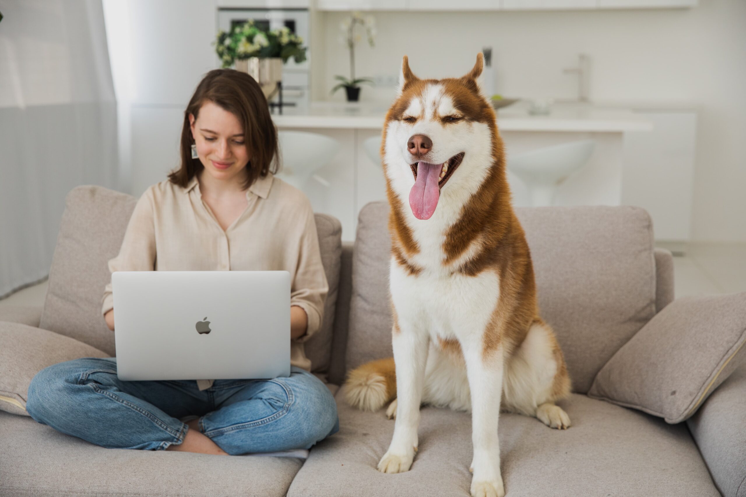 woman-laptop-dog-smiling