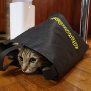 cat hiding inside apetmart enviromental bag