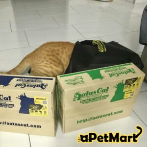 Tiger Chow apetmart customer