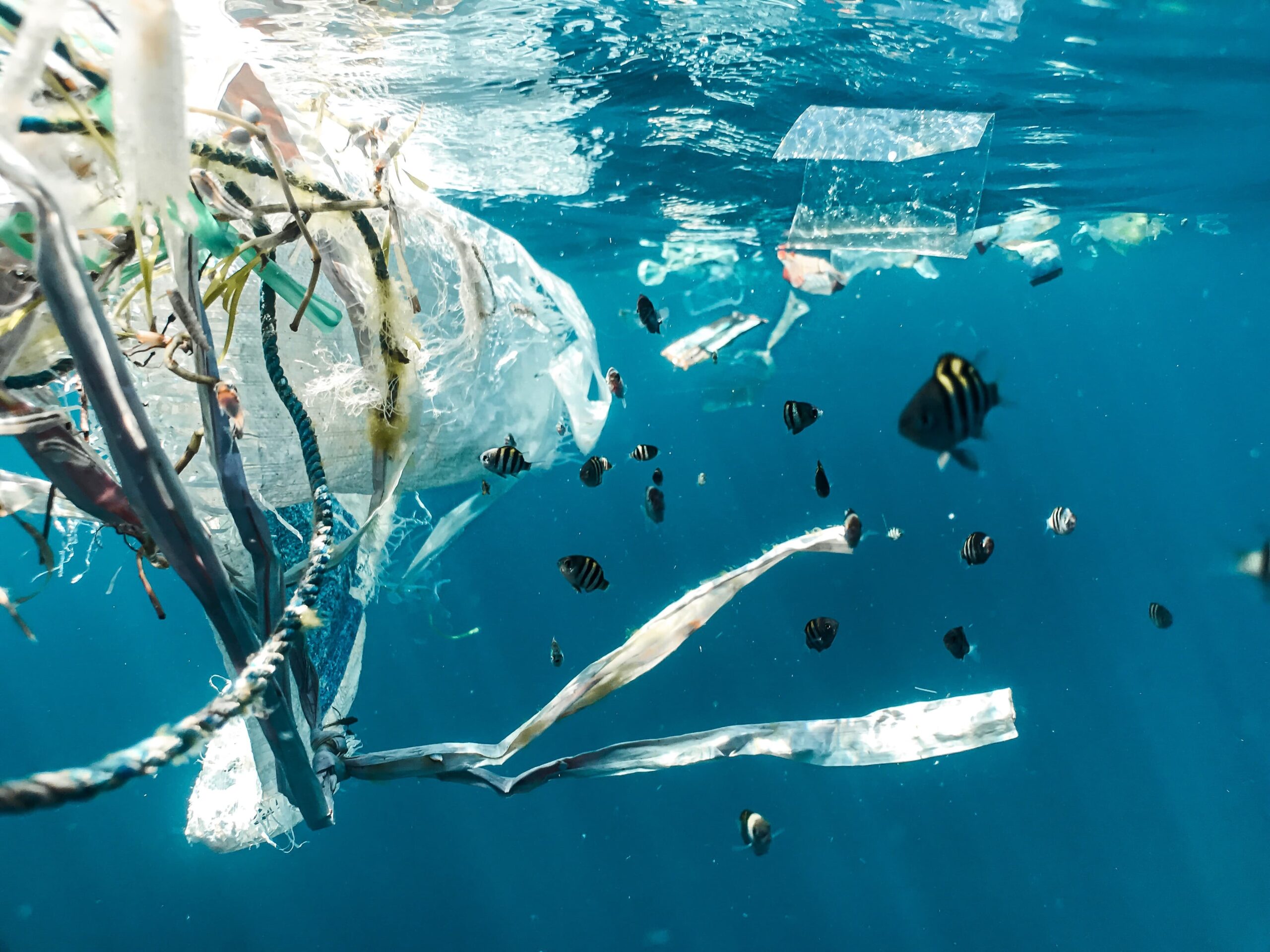plastic waste