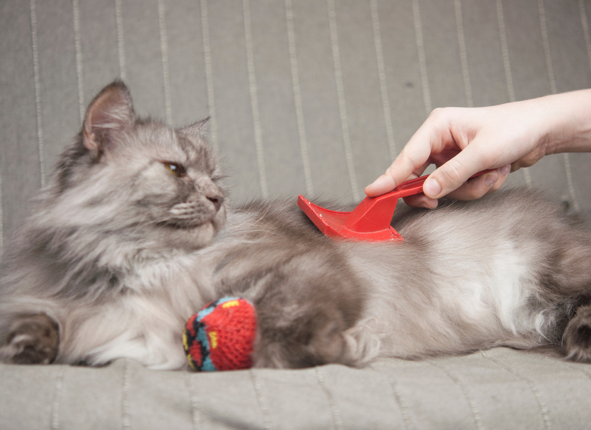 The Best Methods To Helping Your Cat Pass Hairballs