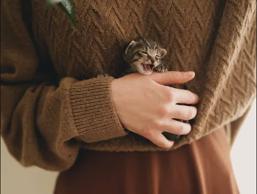 woman holding a pet kitten