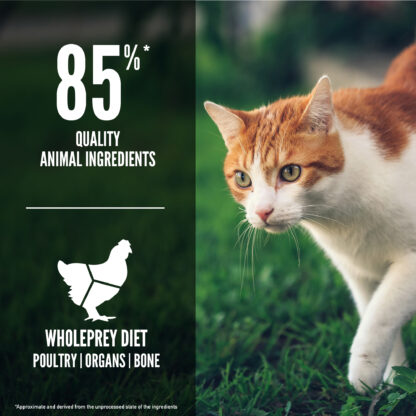 04 PL Fit & Trim Cat