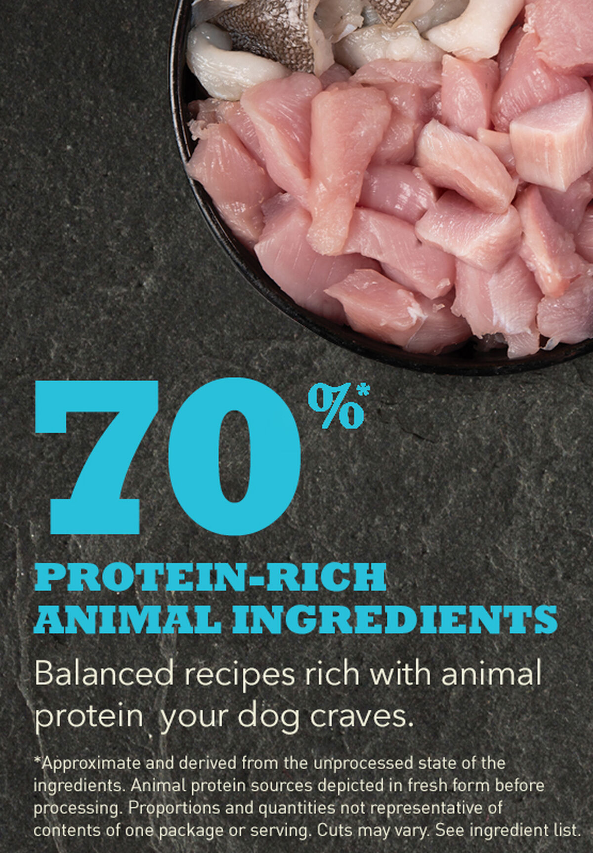 04 PL Puppy Small Breed