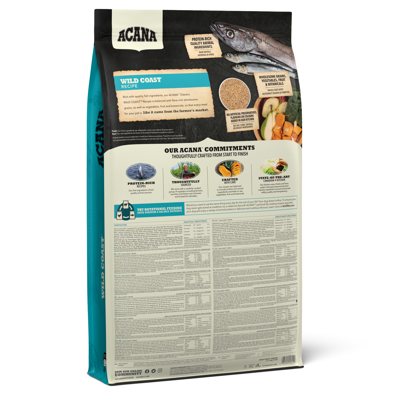 02 PL Wild Coast Dog