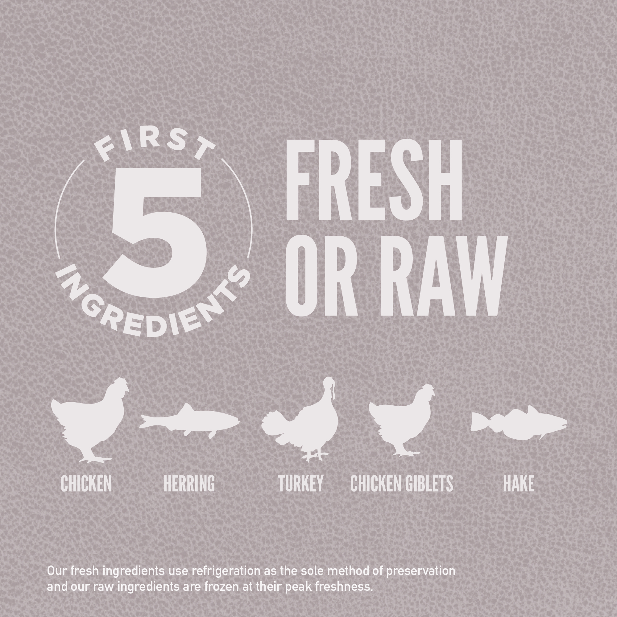 05 PL Fit & Trim Dog