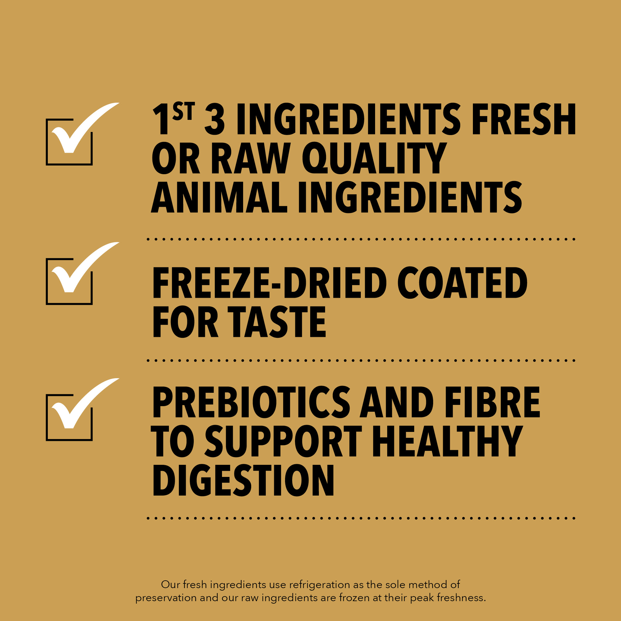 06 PL Grasslands Dog