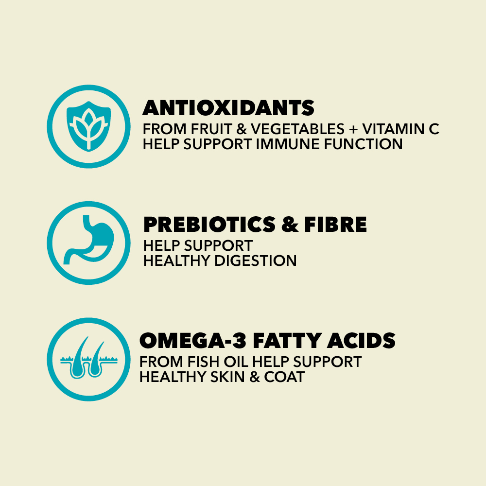 06 PL Wild Coast Dog