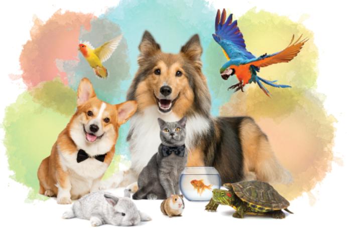 pet expo 2024 image