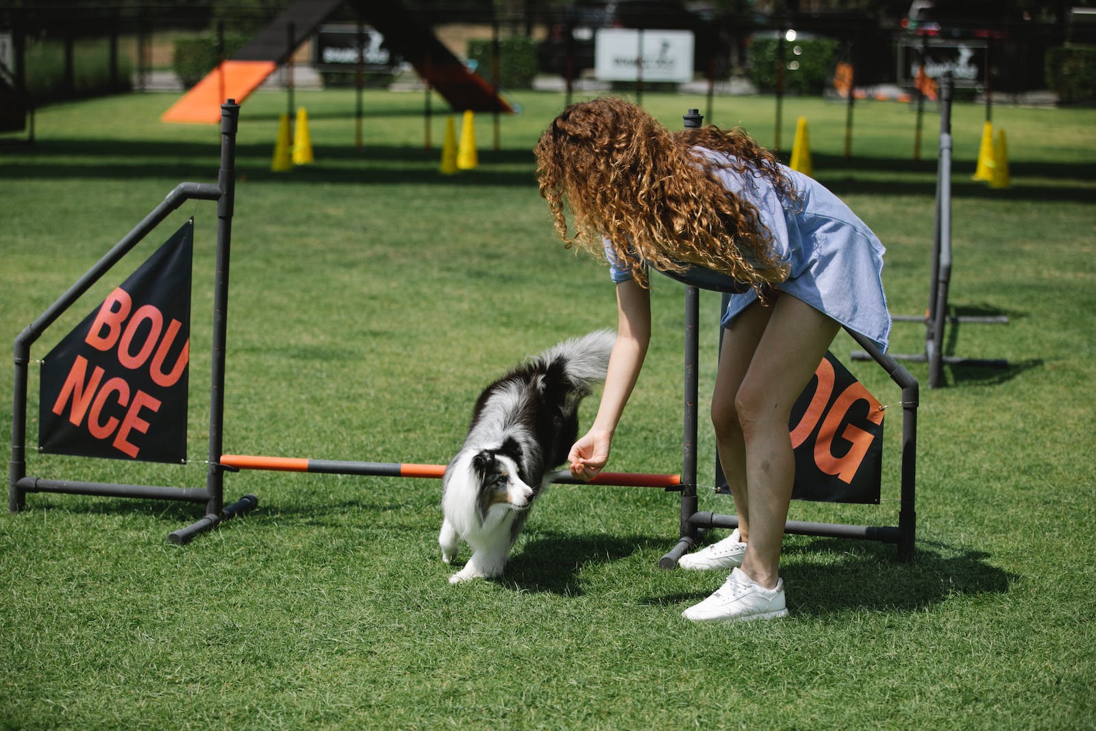 woman training dog on sports field