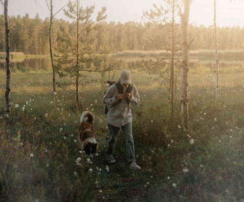 woman hiking with pet dog in forest at sunset