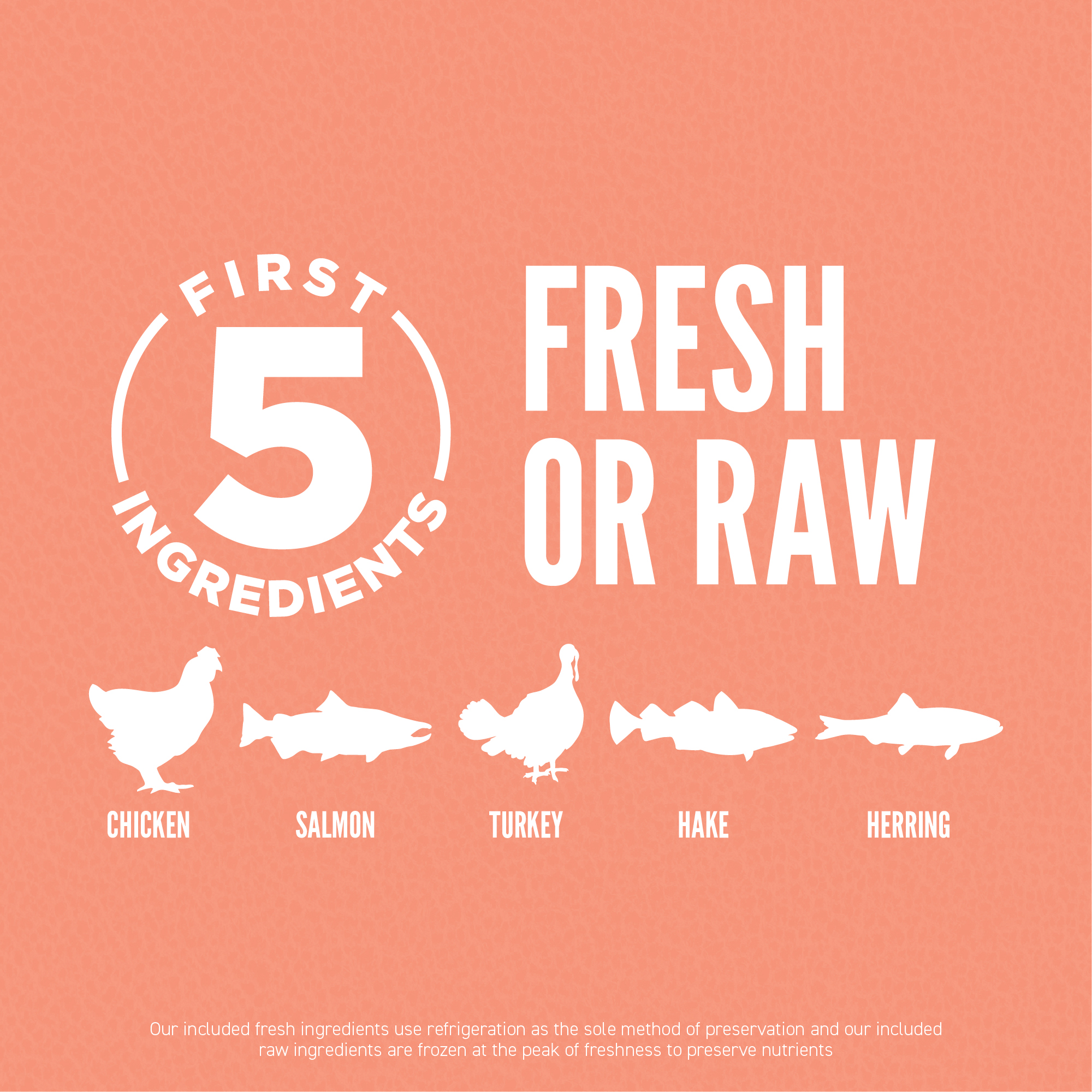 04 PL Small Breed Puppy