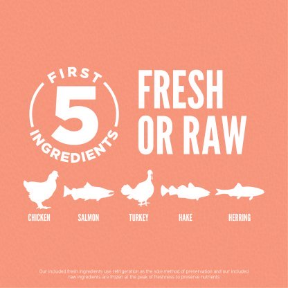 04 PL Small Breed Puppy