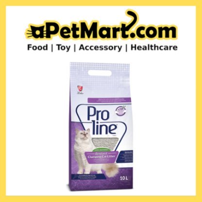 sg 11134207 7qvcx ljwjexmlsazb34