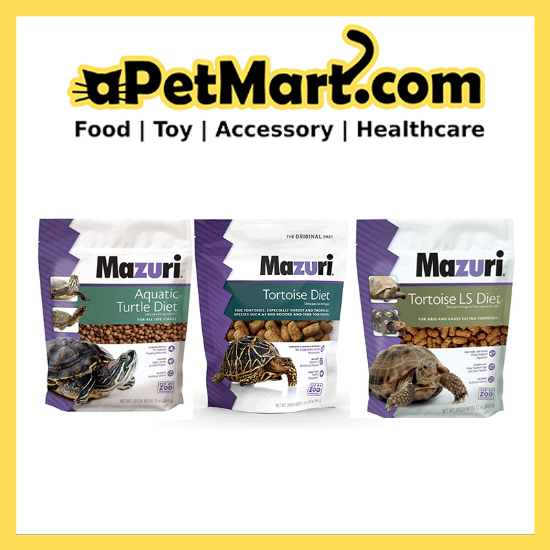 sg 11134207 7qvdk lih46d3yy9j584.jpeg