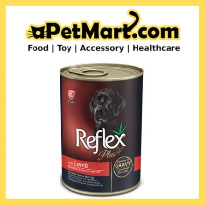 sg 11134207 7qvdt ljusgt0r7c0nfa