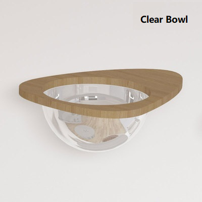 Clear Bowl with text