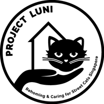 Project LUNI Logo