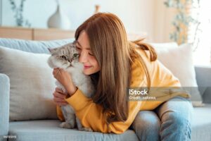 Purr-fectly Punny: Good Cat Names with Style and Flair