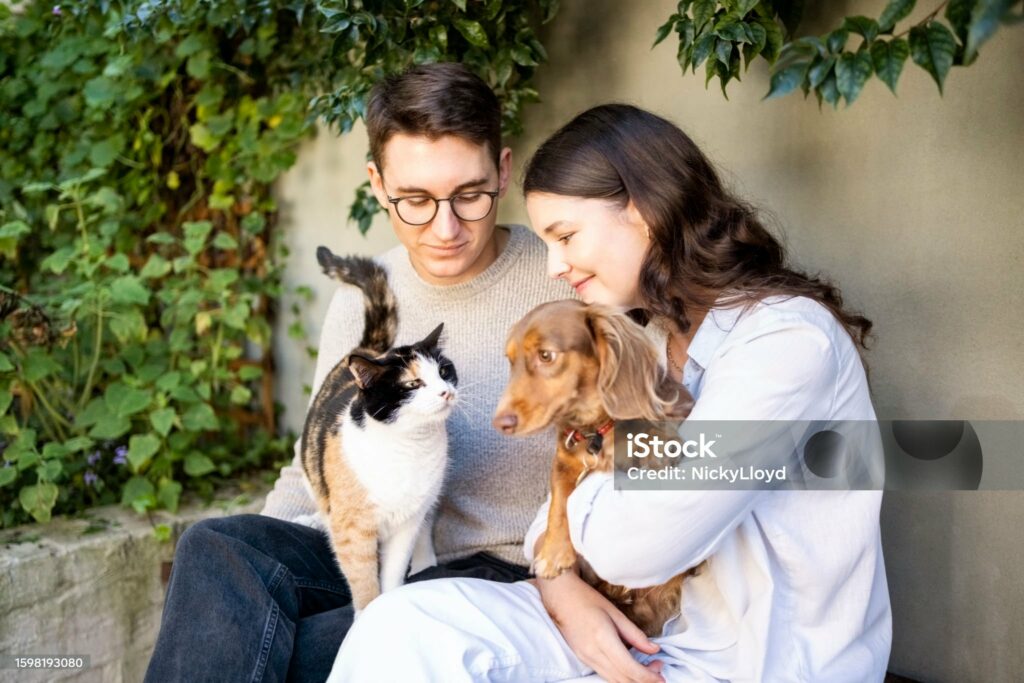 Young man and woman sitting in backyard holding a cat and a dog