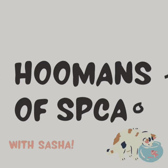 spca
