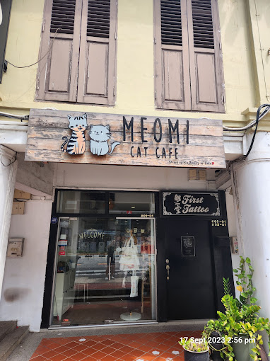 meowmi cat cafe