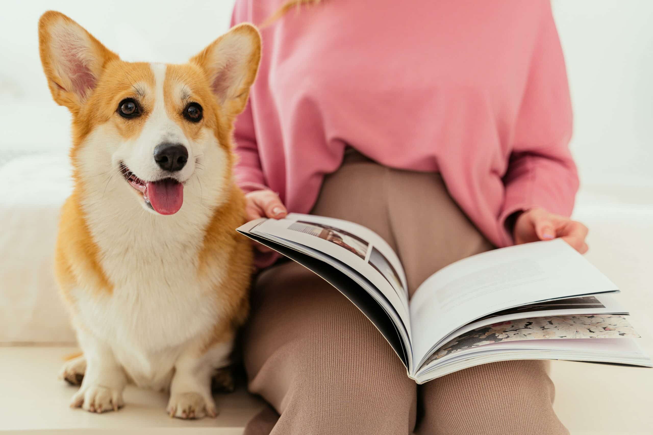 Happy dog is sitting next to its owner. Owner is flipping through a book on her lap.