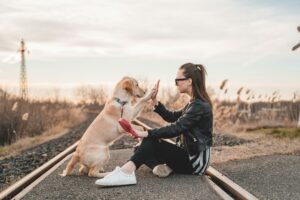 How to Bond with Your Dog: Activities to Build a Stronger Connection